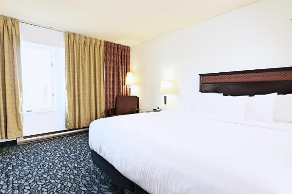 LELUX Hotel image 11
