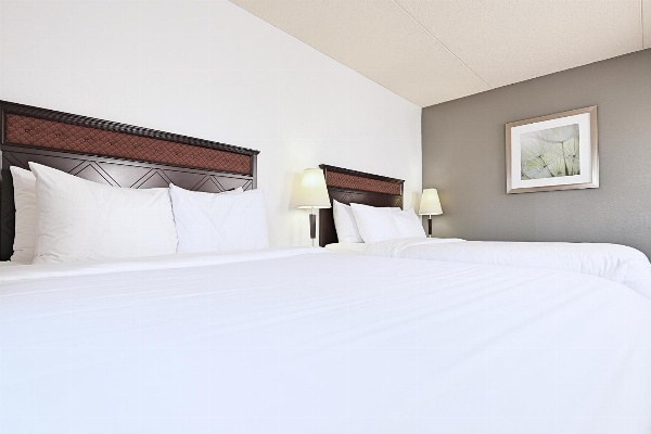 LELUX Hotel image 7